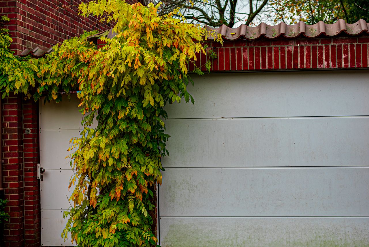 Garage door service in Santa Maria, CA